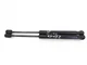 2012-2018 Audi A6 Driver+Passenger Hood Struts Lift Cylinders