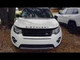Driver Left Sun Visor Fits 15-19 DISCOVERY SPORT 1044896