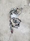 SIERRA250 2009 Engine Wire Harness 304939
