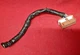 2001 2002 2003 2004 Nissan Frontier Xterra A/T Cruise Control Module PIGTAIL