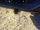 Used Telematics Interface Module fits: 2020 Gmc Sierra denali 1500 Communication