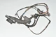 BMW E90 3 Series Door Wiring Harness Left Rear 6938226 6938225