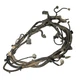 2011 2012 11 12 Ford F250 F350 OEM Chassis Frame Wiring Harness BC3T-14405-AEL