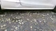 S5 AUDI   2011 Rocker Panel Moulding 465122