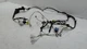 Toyota RAV4 2019-2022 Front Passenger Side Door Wire Wiring Harness OEM