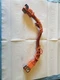 TESLA 3   2022 Body Wire Harness 1109000-00-D OEM