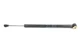 07 08 09 MERCEDES-BENZ S550 DOOR SHOCK STRUT SUPPORT A2217200016 OEM