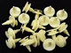 GM Door & Trim Panel Retainer Clips- Fits 1/4" Hole- 13/16" Stem- 20 clips- #115