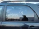 2006-2009 Pontiac Torrent Rear Door Window Glass Driver Left OEM