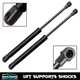 Qty(2) Rear Trunk Lift Supports Gas Struts Fits BMW 645Ci 650i M6 E64 2004-2010
