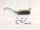 03 04 Infiniti G35 Center Dash Mounted Clock Analog Time OEM 25810AM610