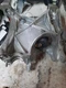 A4 AUDI   2021 Engine Mounts 1665884