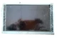2013 - 2016 Hyundai Genesis Info-GPS-TV Screen Coupe Display Screen  #210784