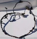 04-09 Jaguar XJ8 X350 X358 Rear Trunk Lid Boot Wire Harness 5W9314A227SAB OEM
