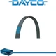 Dayco Poly Rib Serpentine Belt for FORD ESCAPE 2013-2016 L4-1.6L