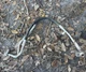 2018-2022 FORD ECOSPORT 2.0L GAS AWD AC HOSE TUBE PIPE LINE WITH SENSOR OEM