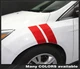 Ford Focus 2011-2018 Fender Hash Side Stripes Decals (Choose Color)
