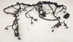 2011 Ford F250 F550 Super Duty 6.7L XLT Dash Dashboard Harness P/N# FF