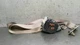 00 - 05 BUICK LESABRE RIGHT PASSENGER REAR SEAT BELT RETRACTOR