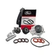 Timing Belt Kit For Landrover Freelander MG ZS ZT Rover 75 25K V6 25K4F
