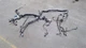 2019-2020 DODGE RAM 1500 CENTER CONSOLE WIRING HARNESS 68438662AA