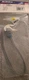 New GM ACDelco Connector #13580876