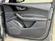 Q7 AUDI   2017 Front Door Trim Panel 2750758
