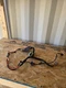 2012 Ram 1500 Right Rear Door Wiring Harness 68053528AB OEM Used