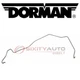 Dorman Trans to Radiator Upper Oil Cooler Hose Assembly for 1997-2001 Ford lw
