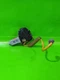 03-06 INFINITI G35 DRIVER LEFT REAR WINDOW MOTOR W/AUTO OEM 4421-24