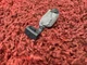 BMW F32 F10 F13 G01 G12 G30 MICROPHONE NAVIGATION MIC HANDSFREE BLACK OEM B8