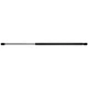 Liftgate Lift Support Strong Arm 4590 fits 05-10 Toyota Sienna